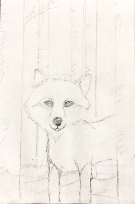 Wolf in the Woods by Amy Sue Stirland